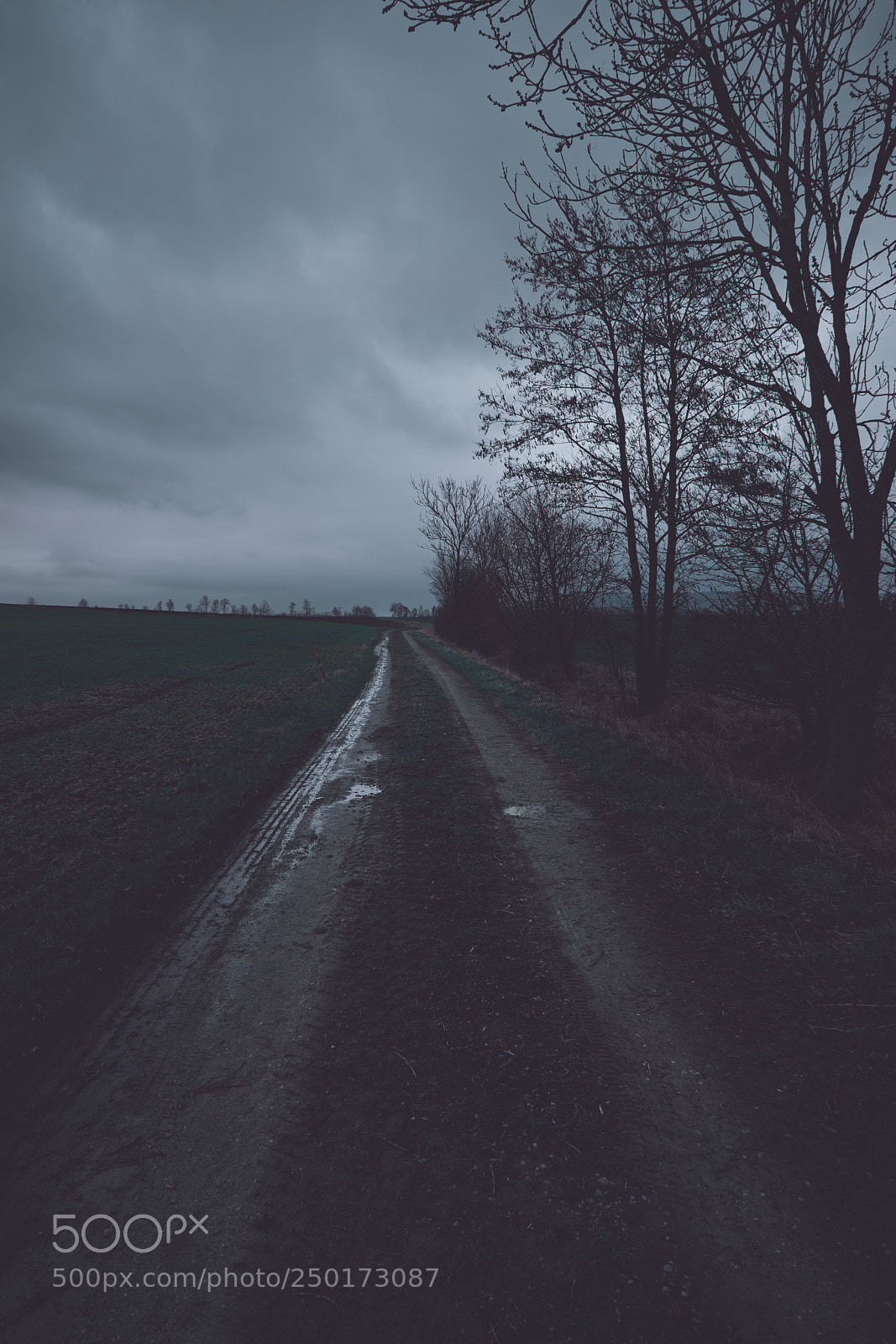 Sony a7 sample photo. Dark landscape view with photography