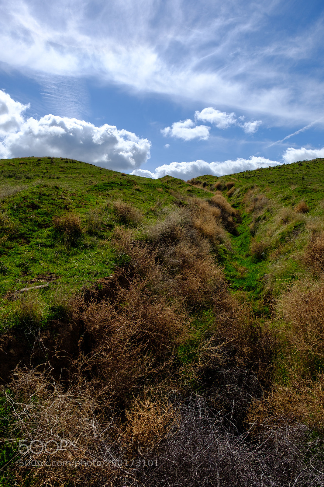 Fujifilm X-T2 sample photo. Yucaipa, california 3709 photography