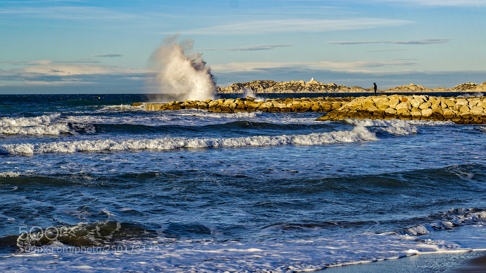 Nikon D800 sample photo. Windy day # 4 photography