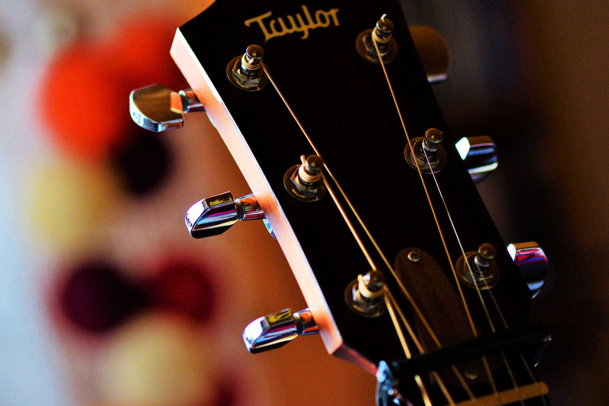 Nikon D5300 sample photo. On the fly photography