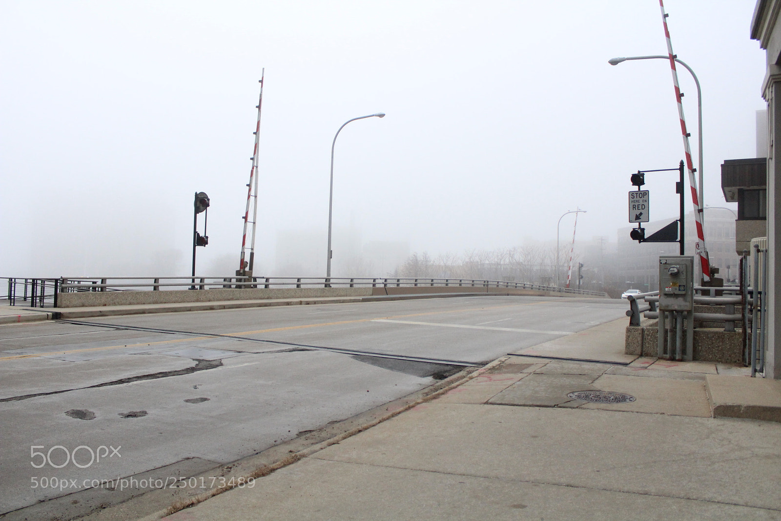 Canon EOS 1300D (EOS Rebel T6 / EOS Kiss X80) sample photo. Foggy photography