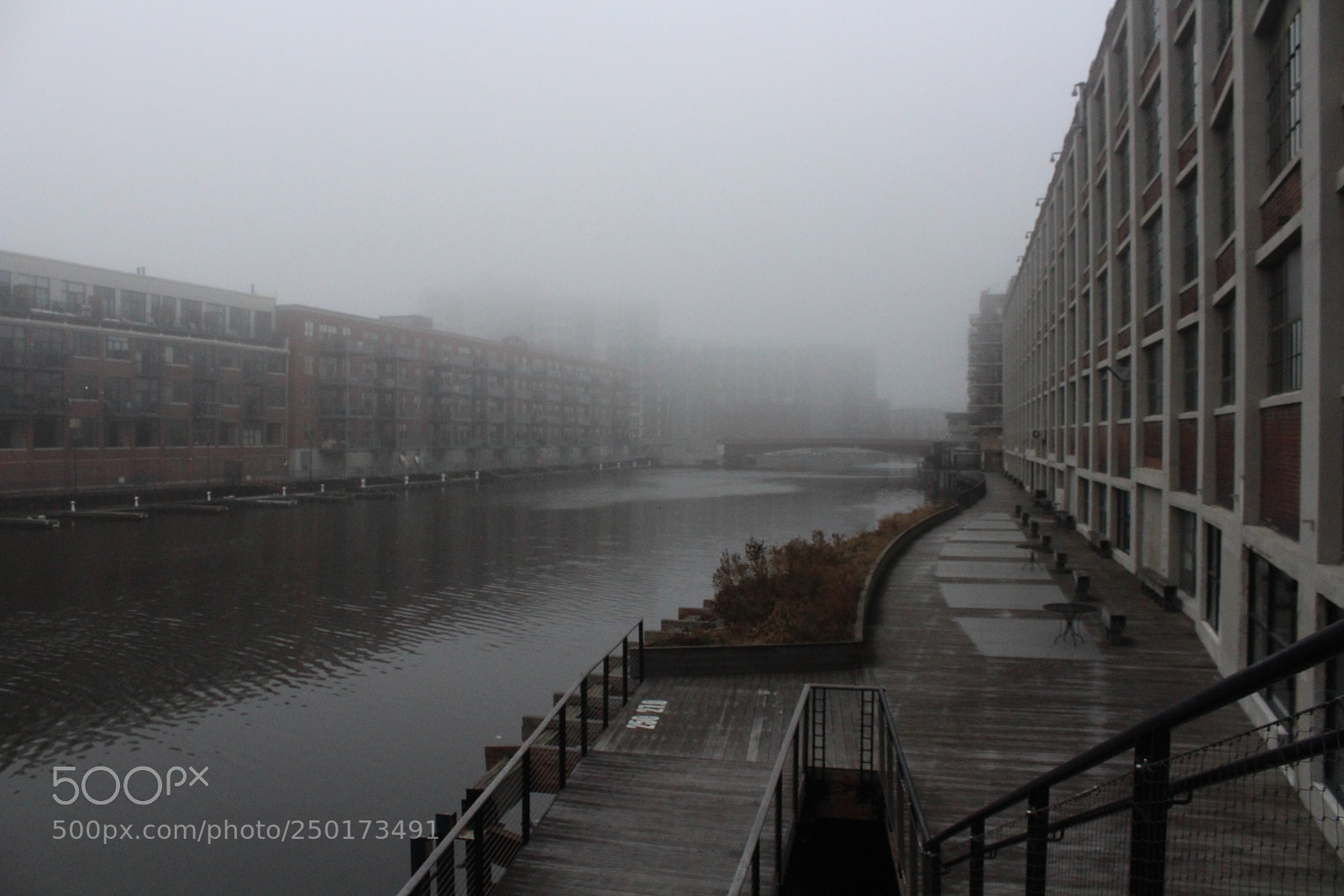 Canon EOS 1300D (EOS Rebel T6 / EOS Kiss X80) sample photo. Foggy photography