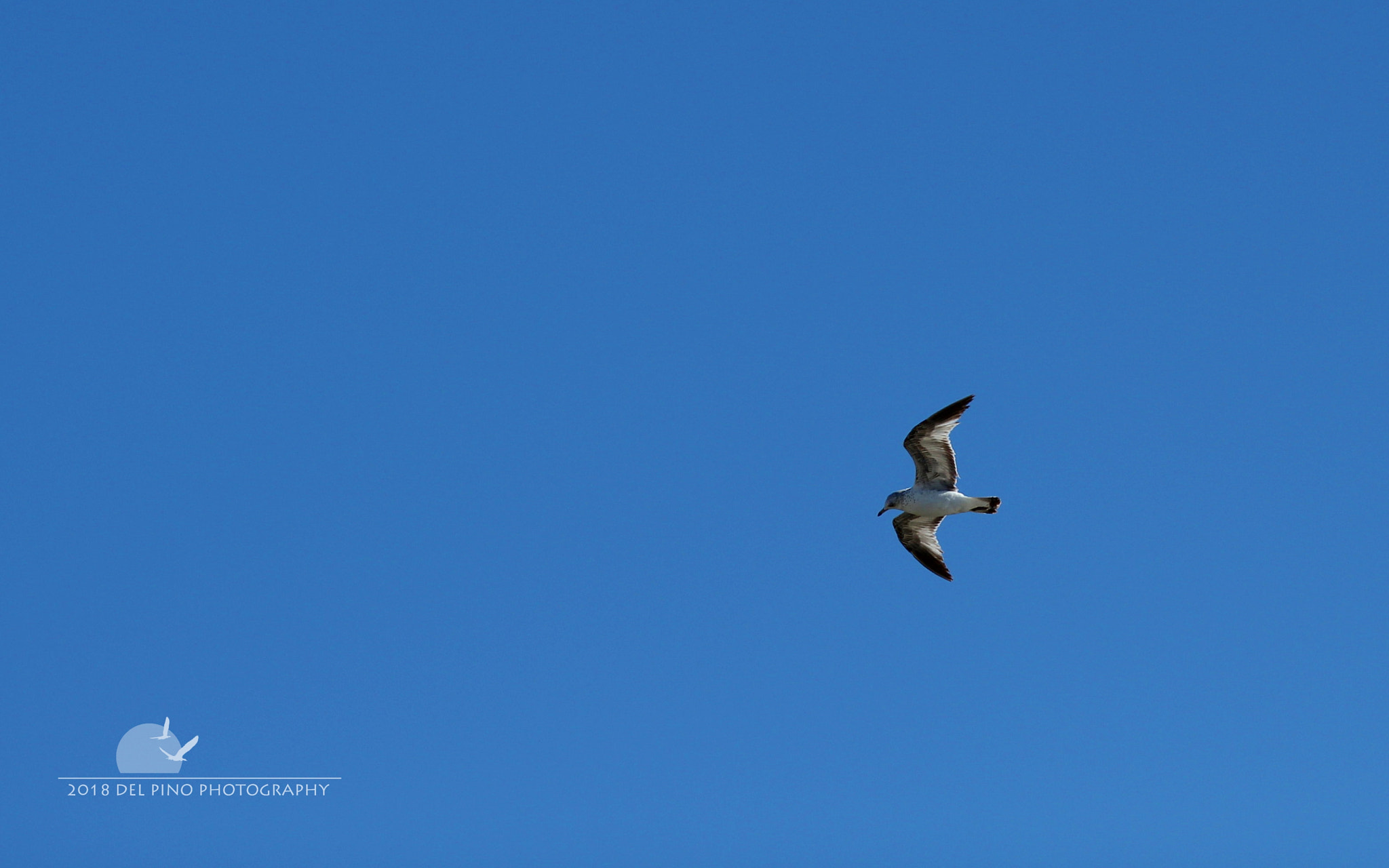 Canon EOS 1300D (EOS Rebel T6 / EOS Kiss X80) sample photo. Beautiful skies photography