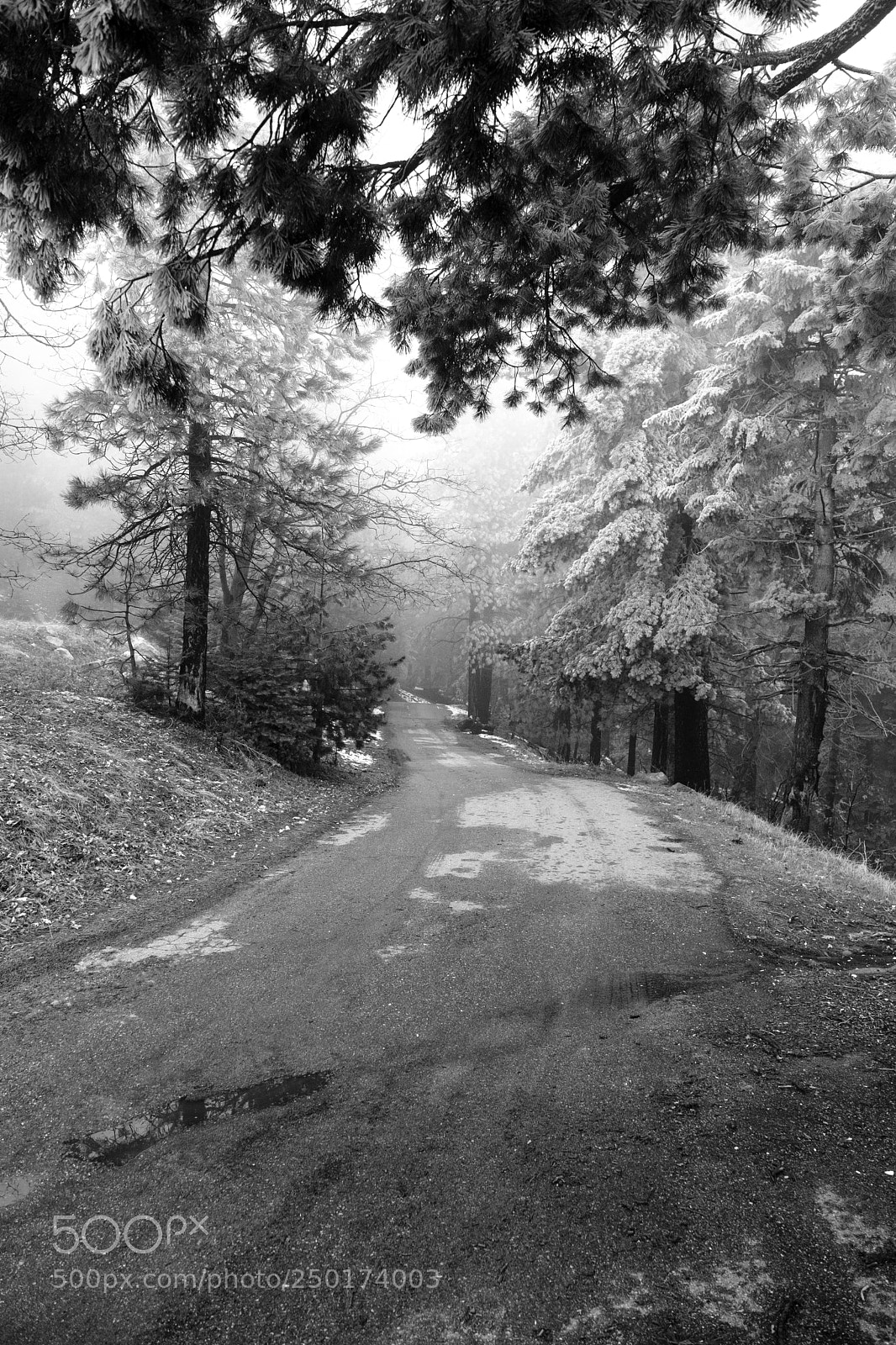 Fujifilm X-T2 sample photo. Twin peaks, california 3792 photography