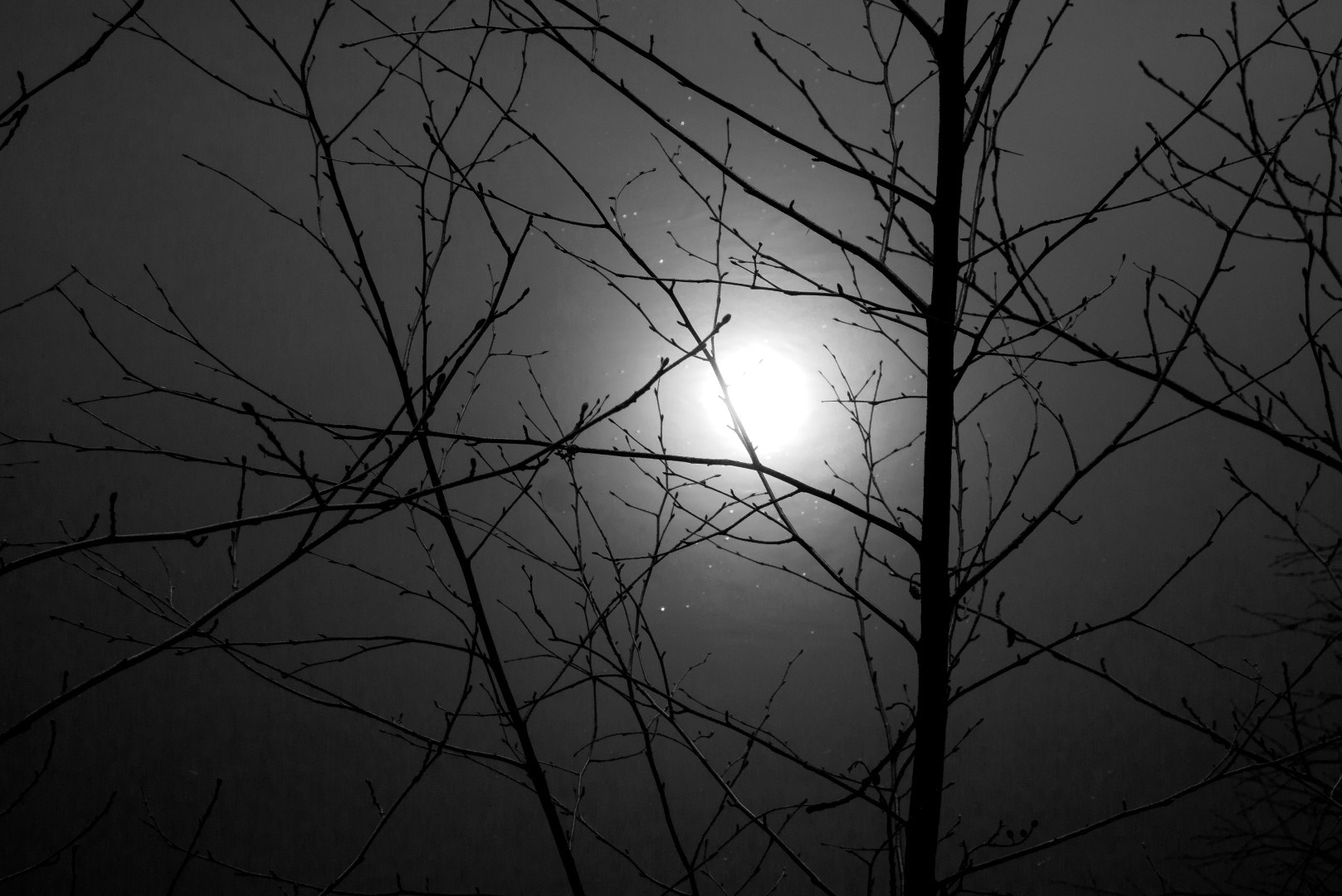 Panasonic Lumix DMC-GX1 sample photo. Night mood photography