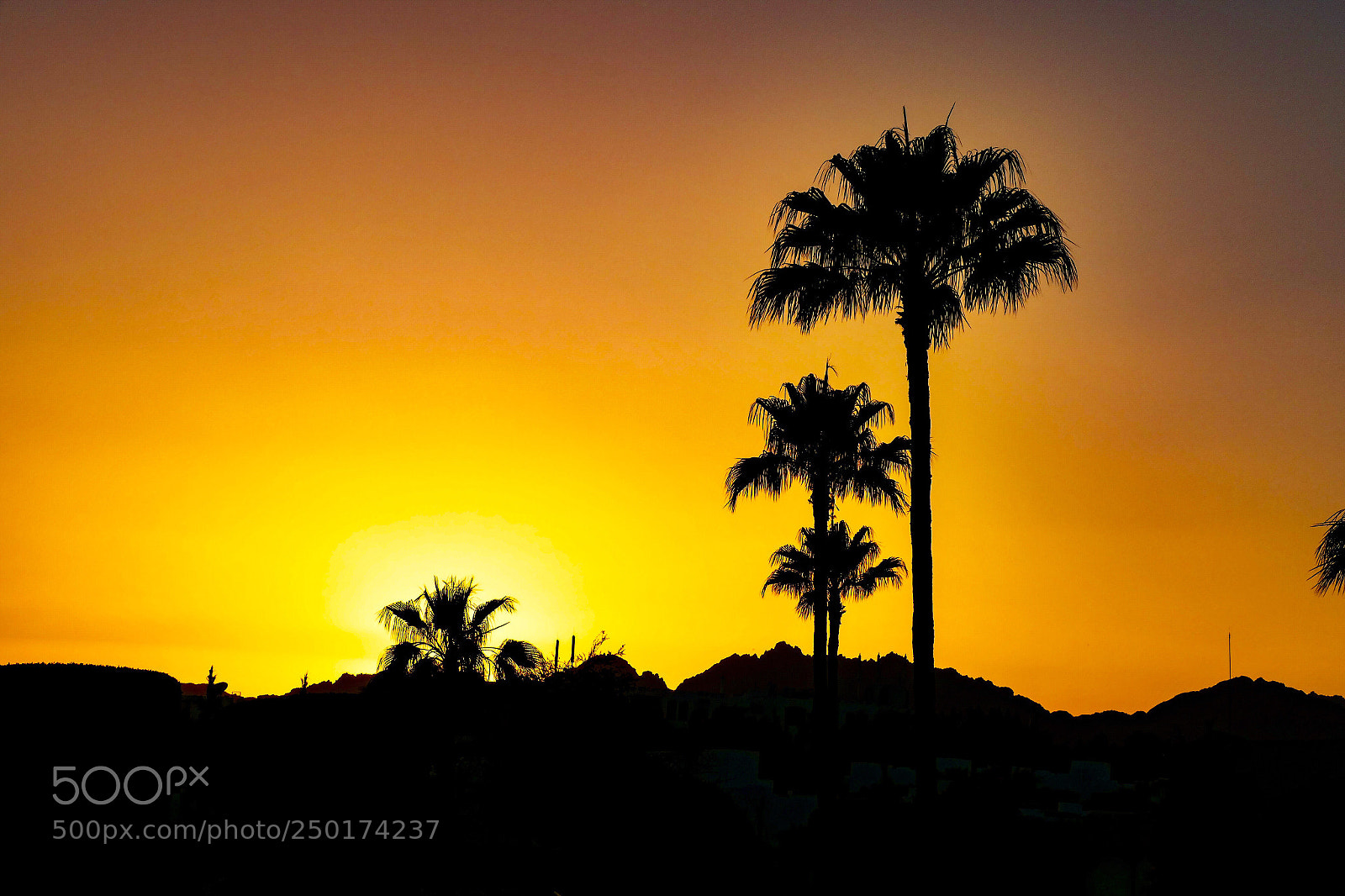 Panasonic Lumix DMC-FZ1000 sample photo. Sunset over sharm el photography