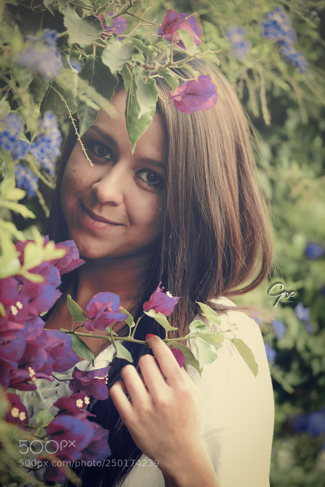Nikon D800E sample photo. Among essences photography