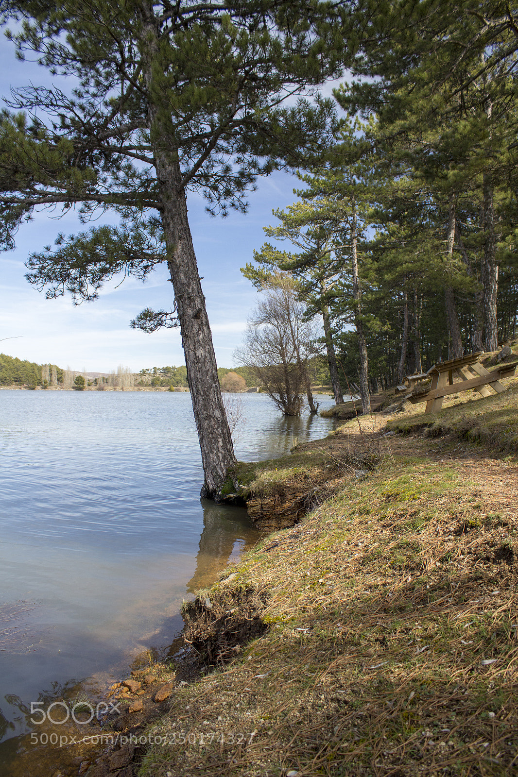 Canon EOS 650D (EOS Rebel T4i / EOS Kiss X6i) sample photo. Lake and trees photography