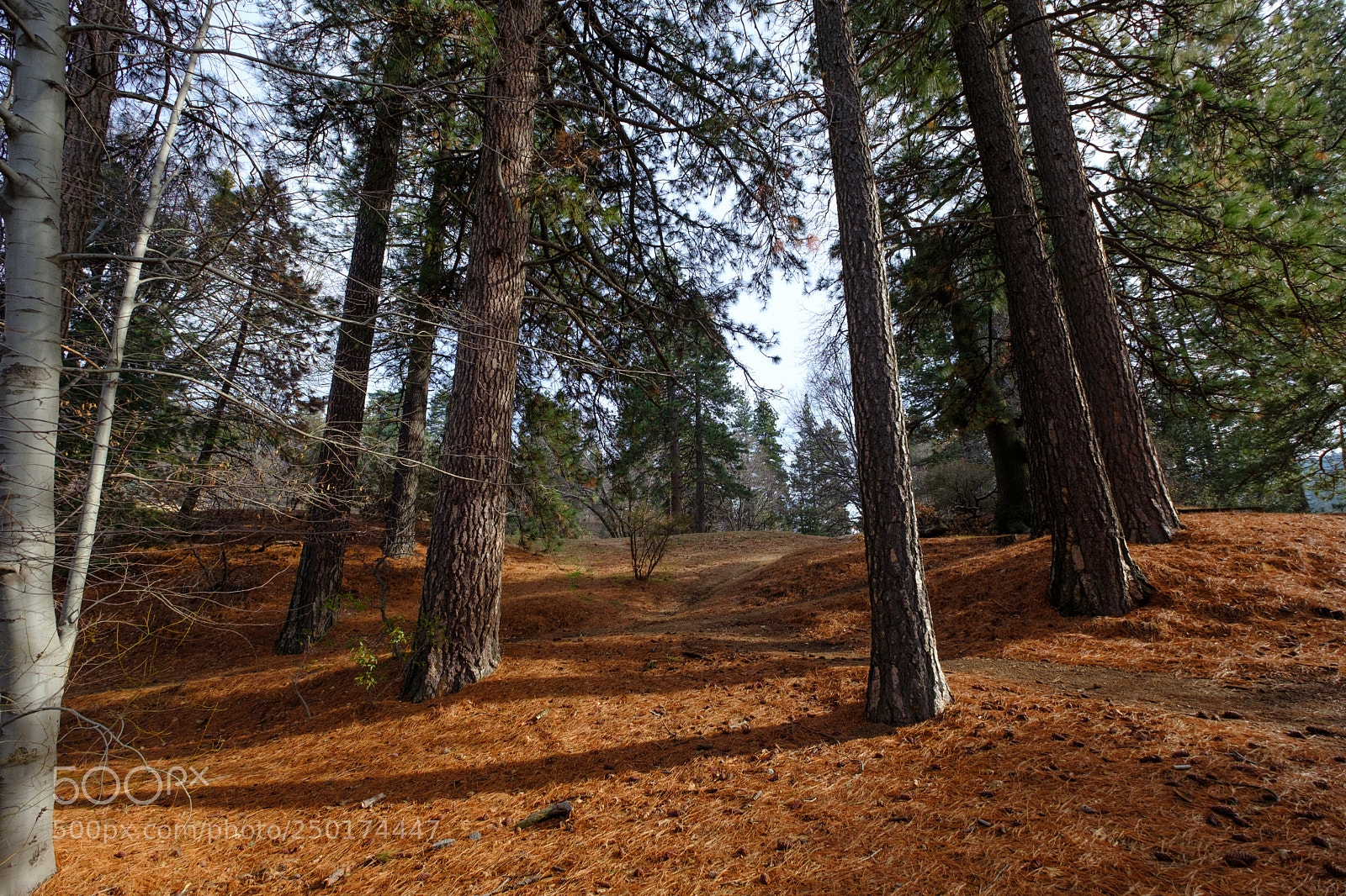 Fujifilm X-T2 sample photo. Lake gregory 4070 photography
