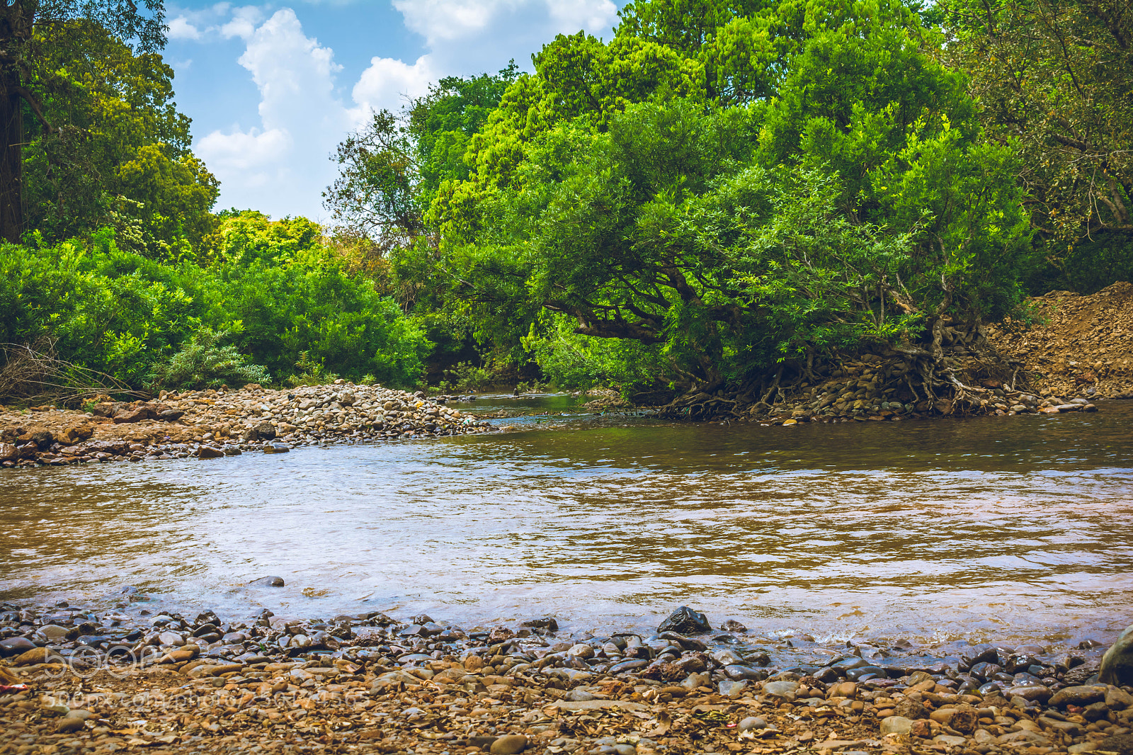Nikon D5200 sample photo. Untitled photography