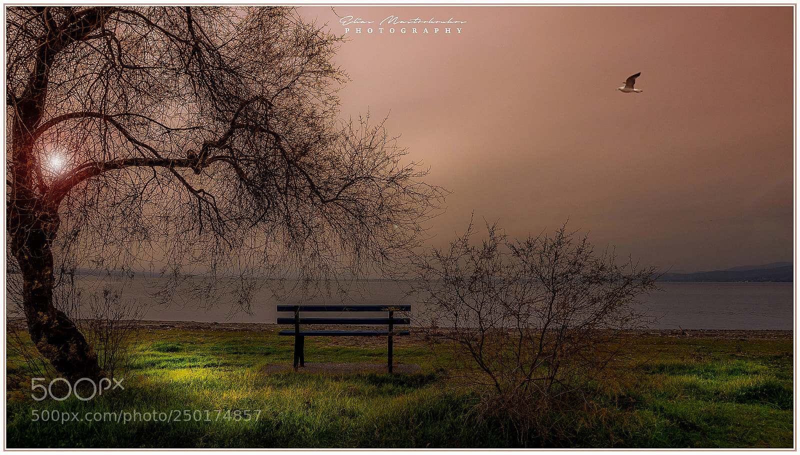 Sony Alpha a5000 (ILCE 5000) sample photo. Lonely bench photography