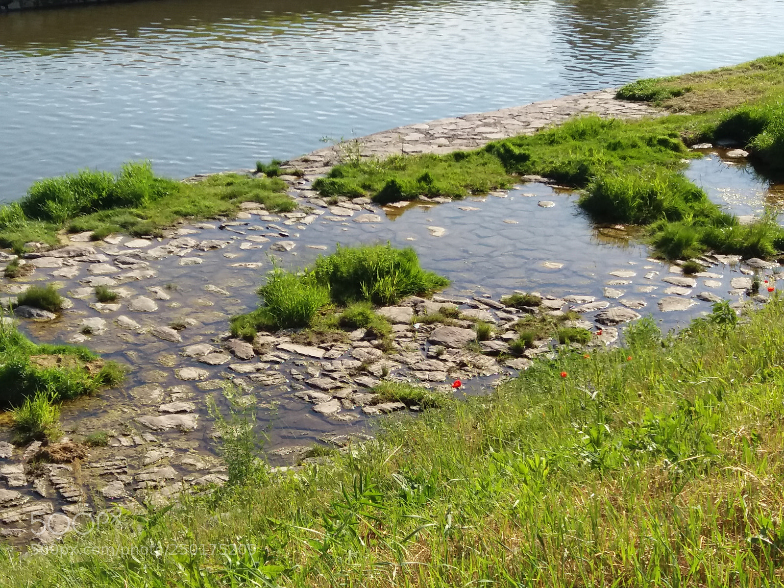 Samsung Galaxy J5(2016) sample photo. River hron photography
