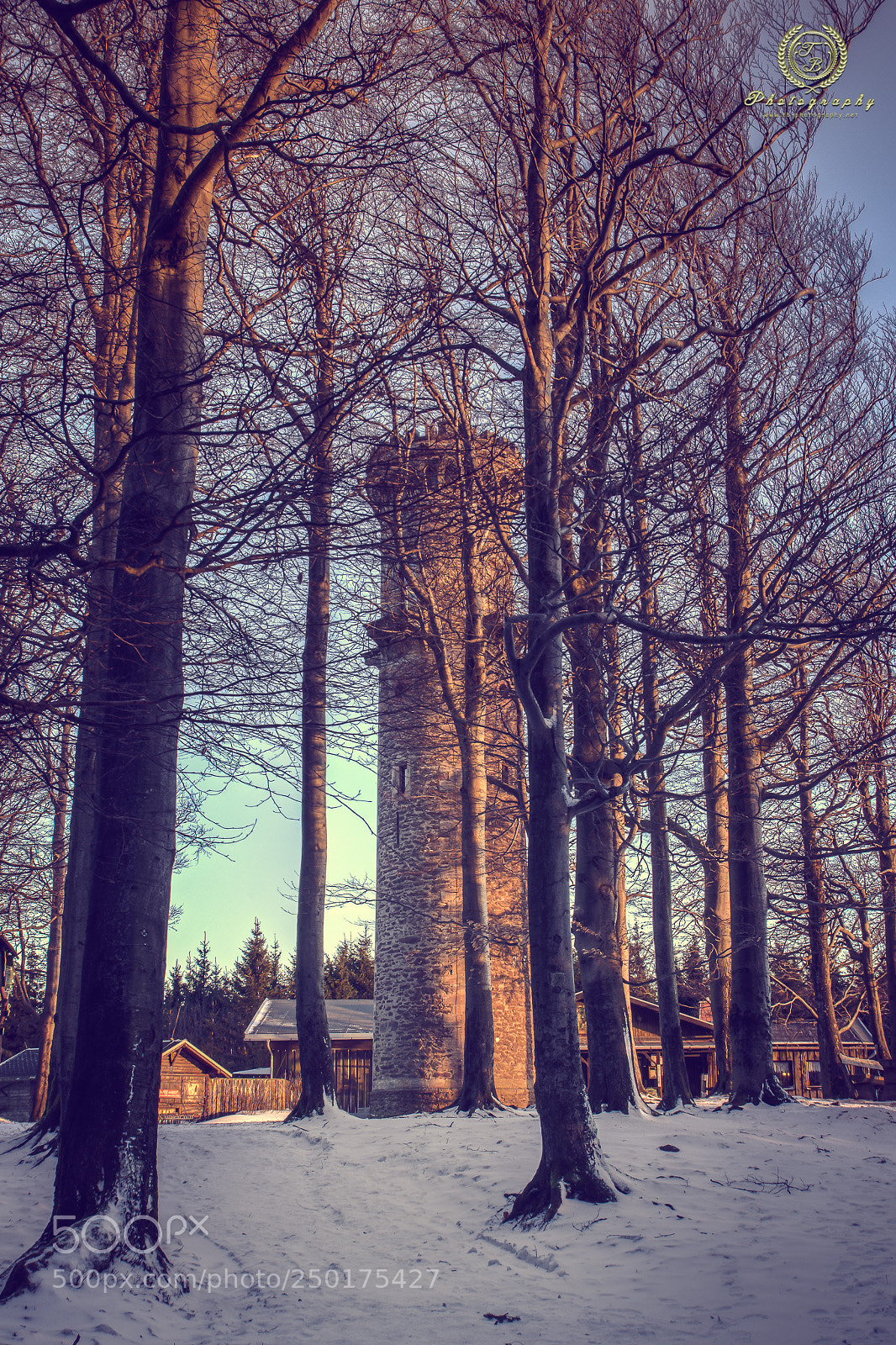 Nikon D7200 sample photo. Kickelhahn im winter photography