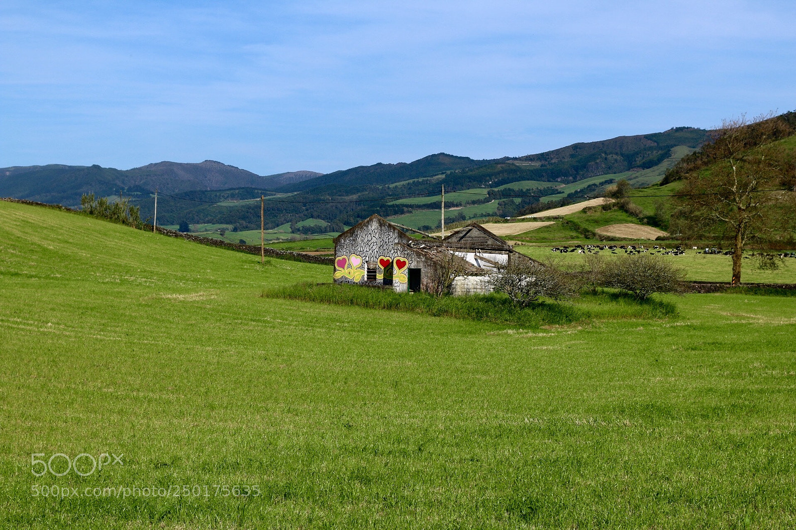 Canon EOS 70D sample photo. S. miguel, azores, portugal photography