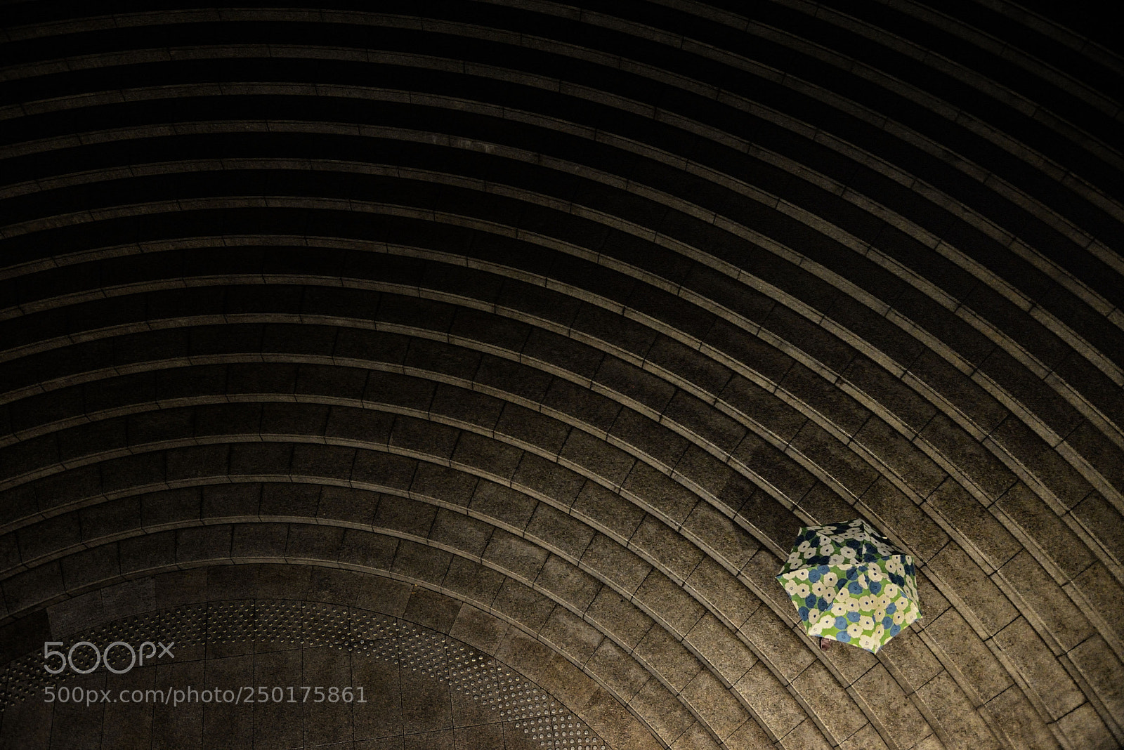 Nikon D600 sample photo. Umbrella photography