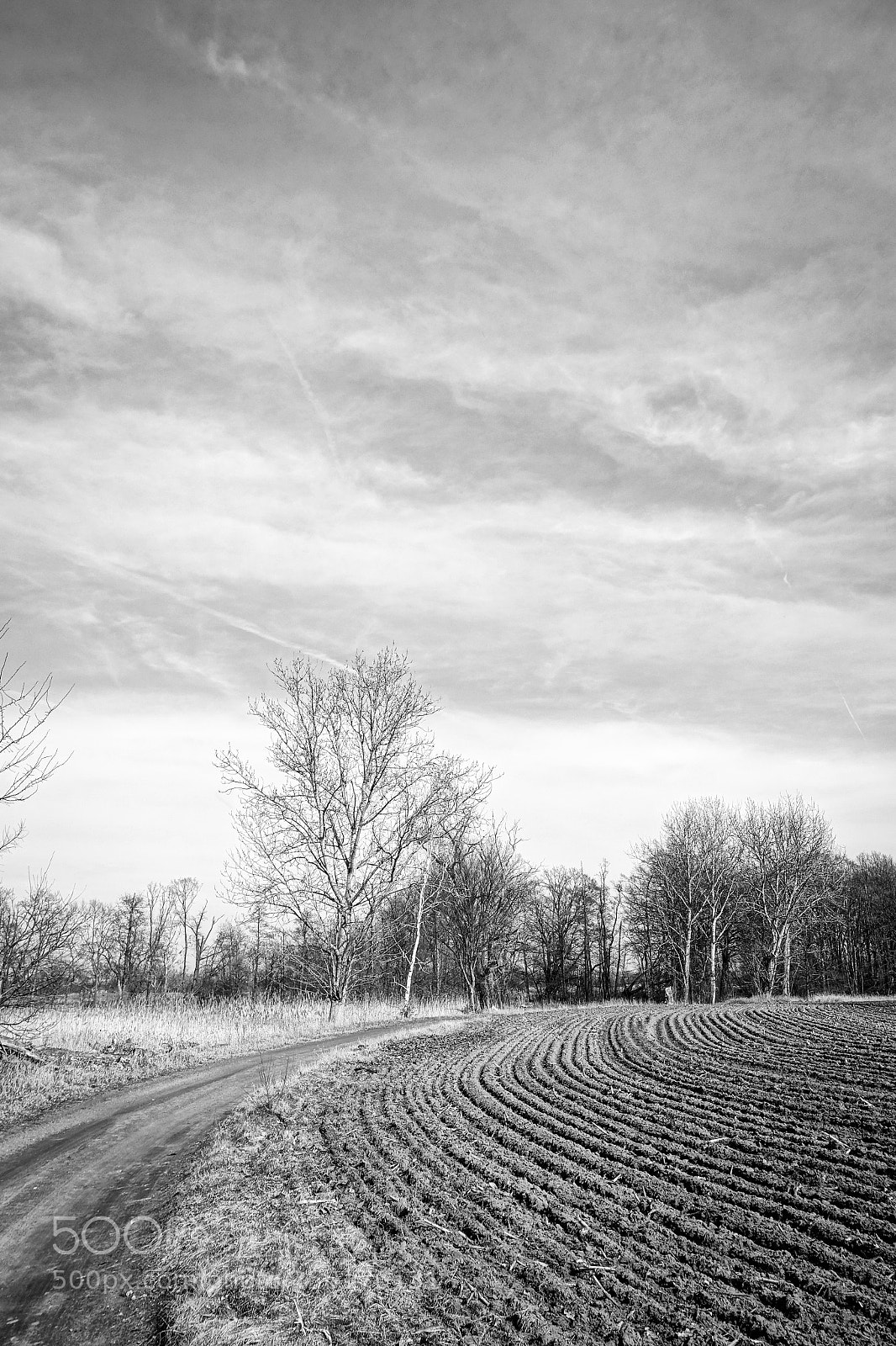 Sony Cyber-shot DSC-RX100 III sample photo. Curves photography