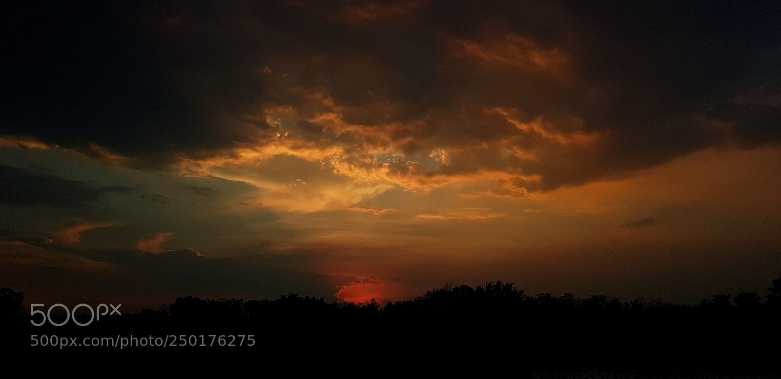 Samsung Galaxy S8+ sample photo. Untitled photography