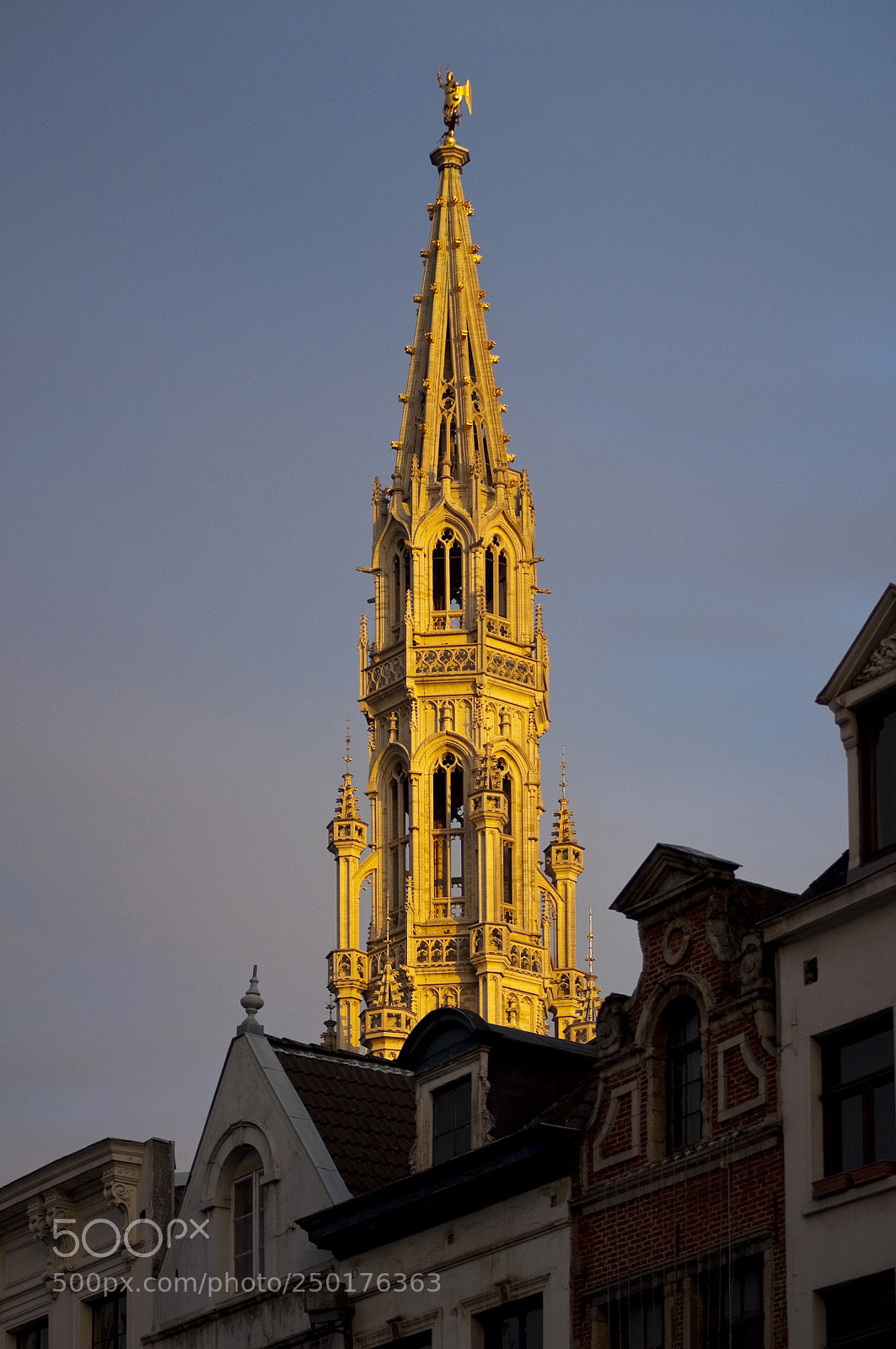 Nikon D5000 sample photo. L'hôtel de ville. photography