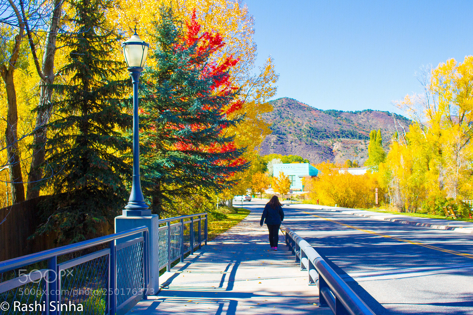 Canon EOS 700D (EOS Rebel T5i / EOS Kiss X7i) sample photo. Fall colours in colorado photography
