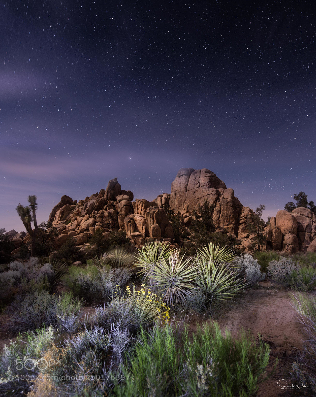 Nikon D4 sample photo. Hidden valley in joshua photography