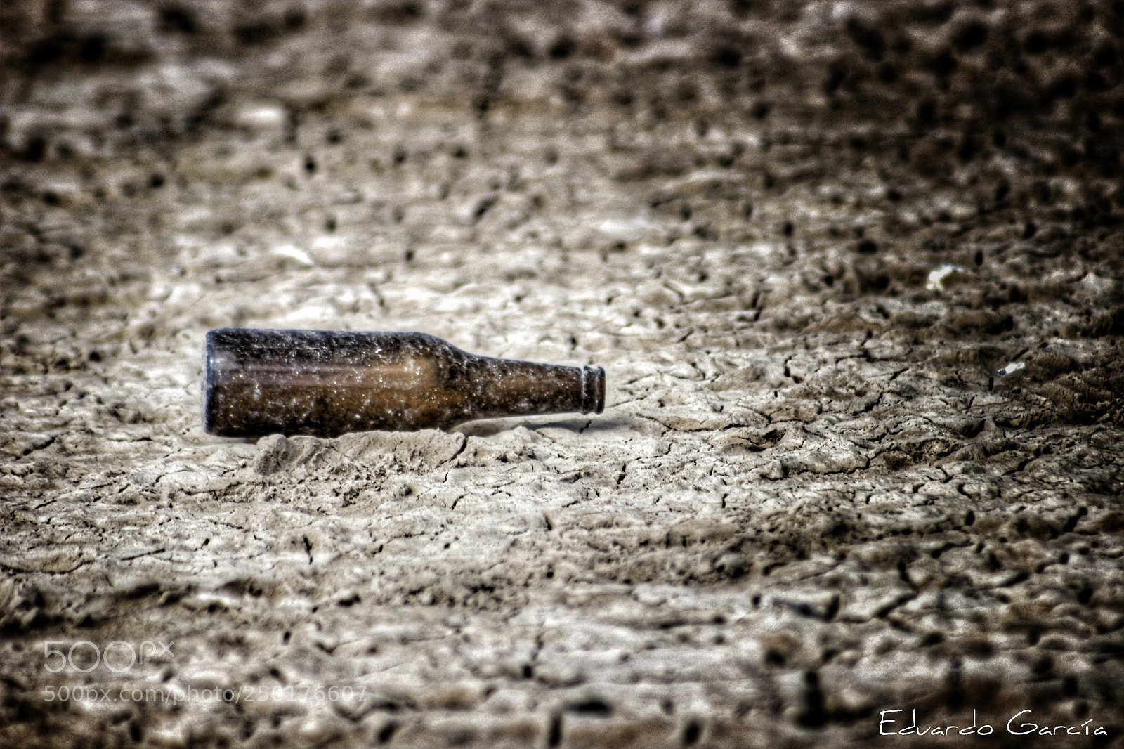 Canon EOS 600D (Rebel EOS T3i / EOS Kiss X5) sample photo. Old beer photography