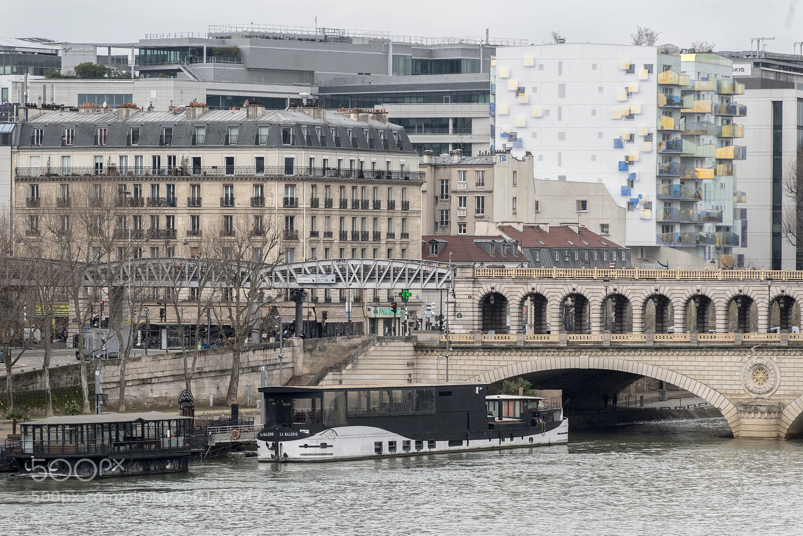 Nikon D610 sample photo. Quai d'austerlitz photography