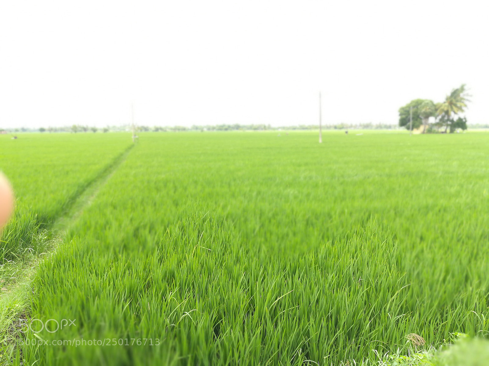 HUAWEI honor 6x sample photo. Untitled photography
