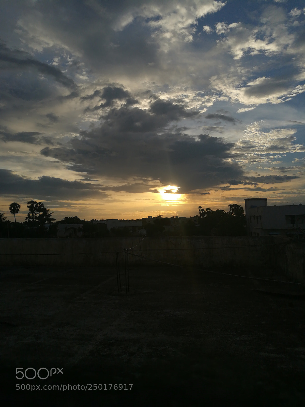 HUAWEI honor 6x sample photo. Untitled photography