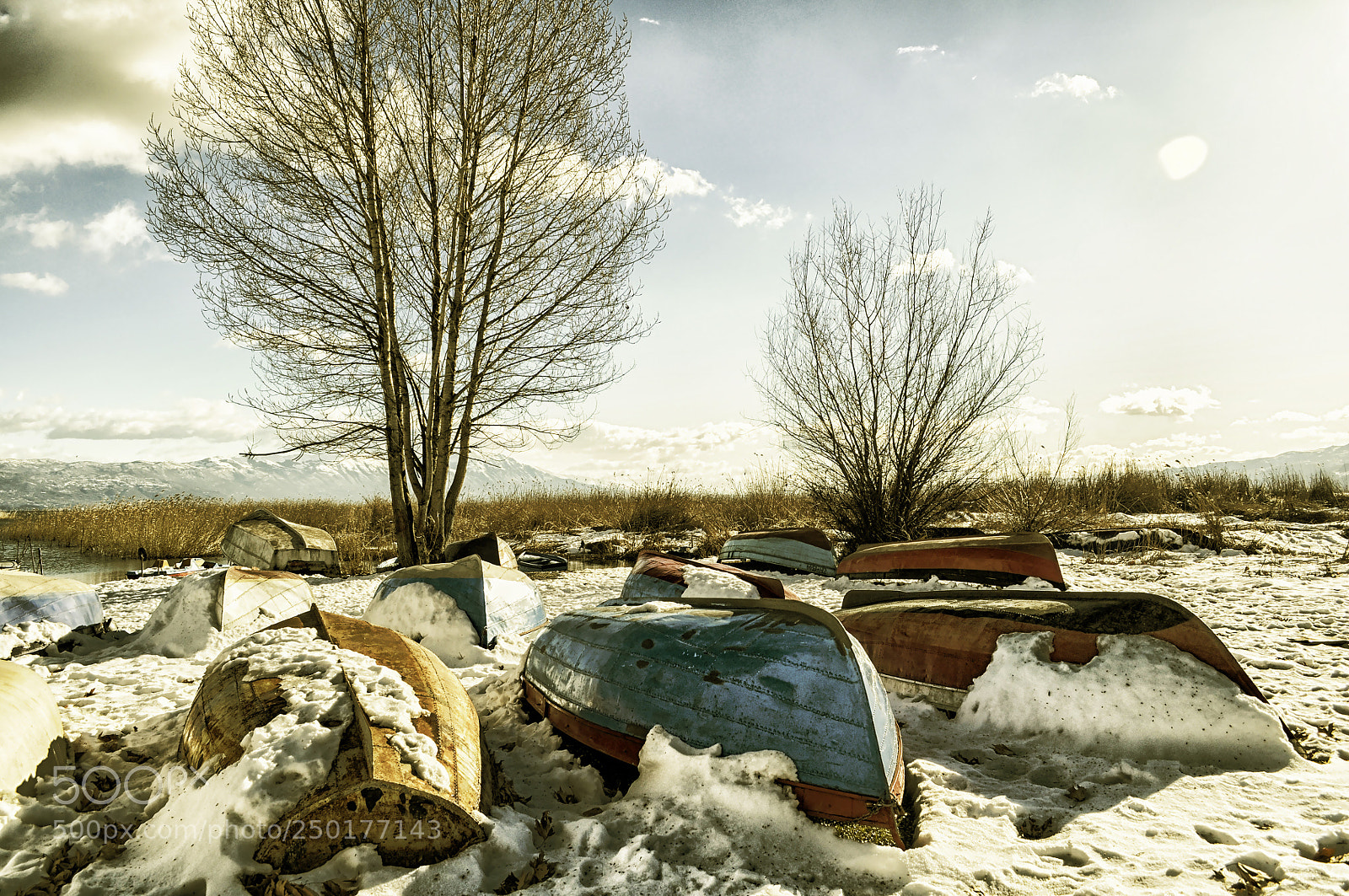 Nikon D5000 sample photo. Winter scene photography