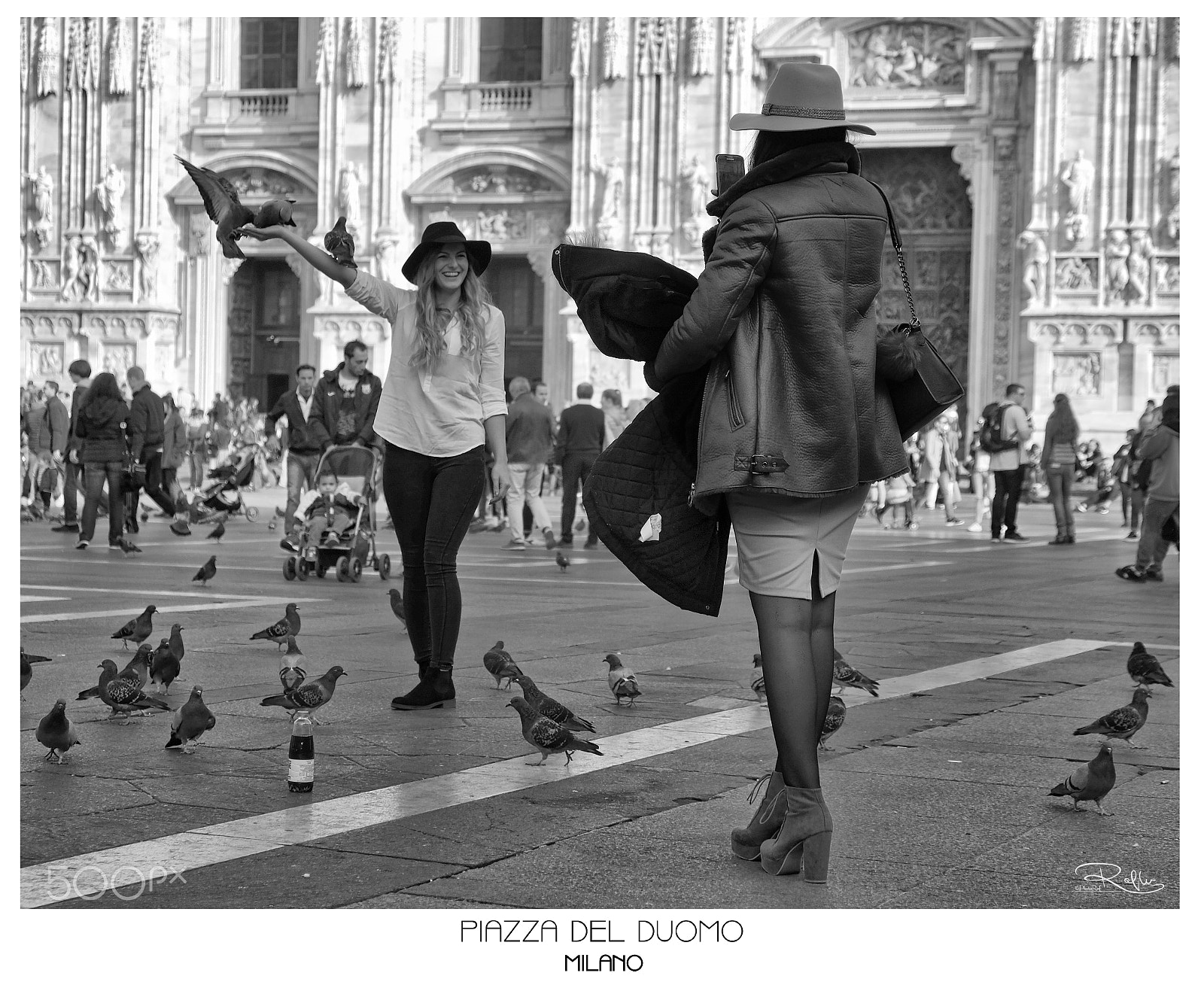 Nikon D3 sample photo. Untitled photography
