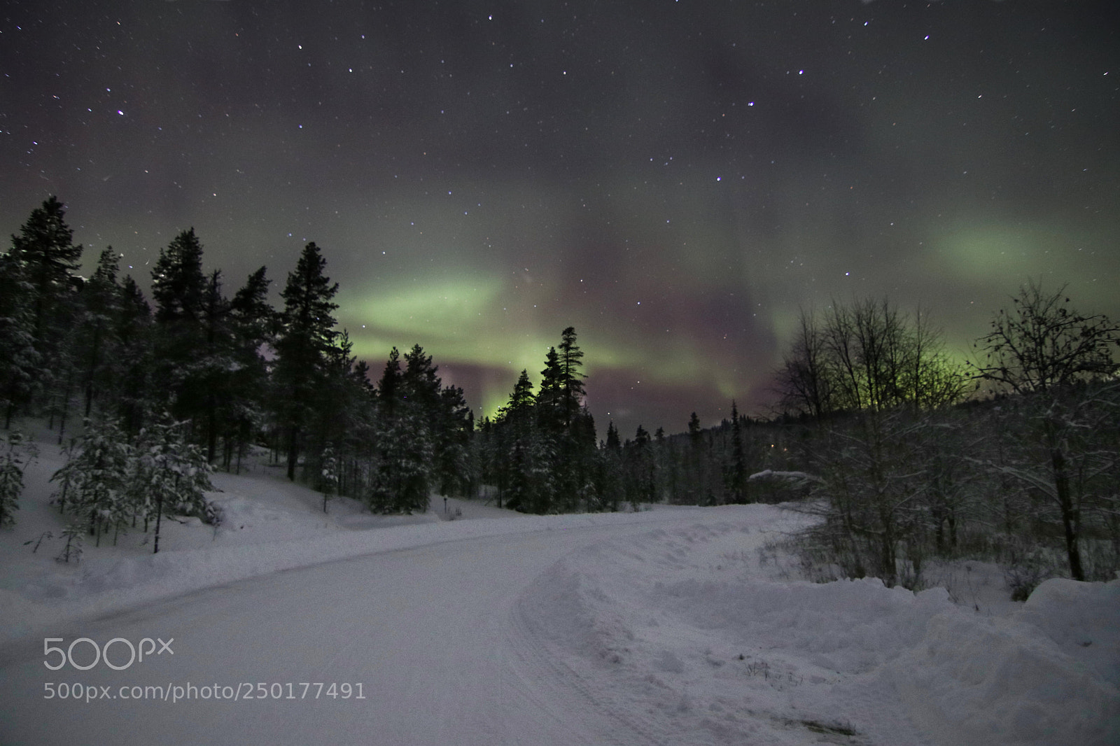 Canon EOS 80D sample photo. Northern lights photography