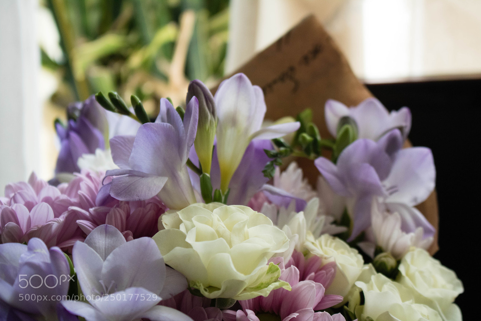 Canon EOS 760D (EOS Rebel T6s / EOS 8000D) sample photo. Bouquet photography