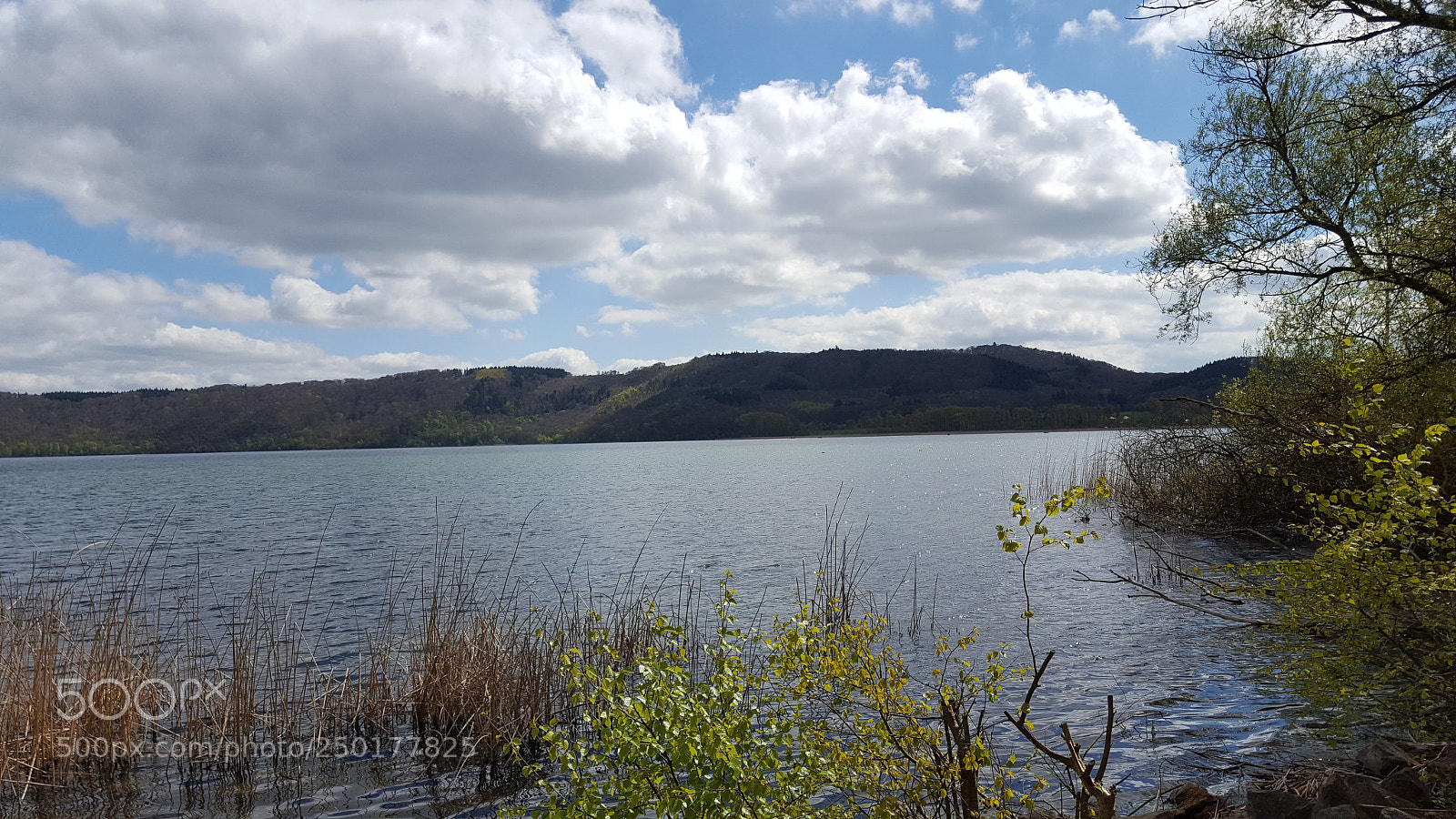 Samsung GALAXY S6 edge sample photo. Maria lachs photography