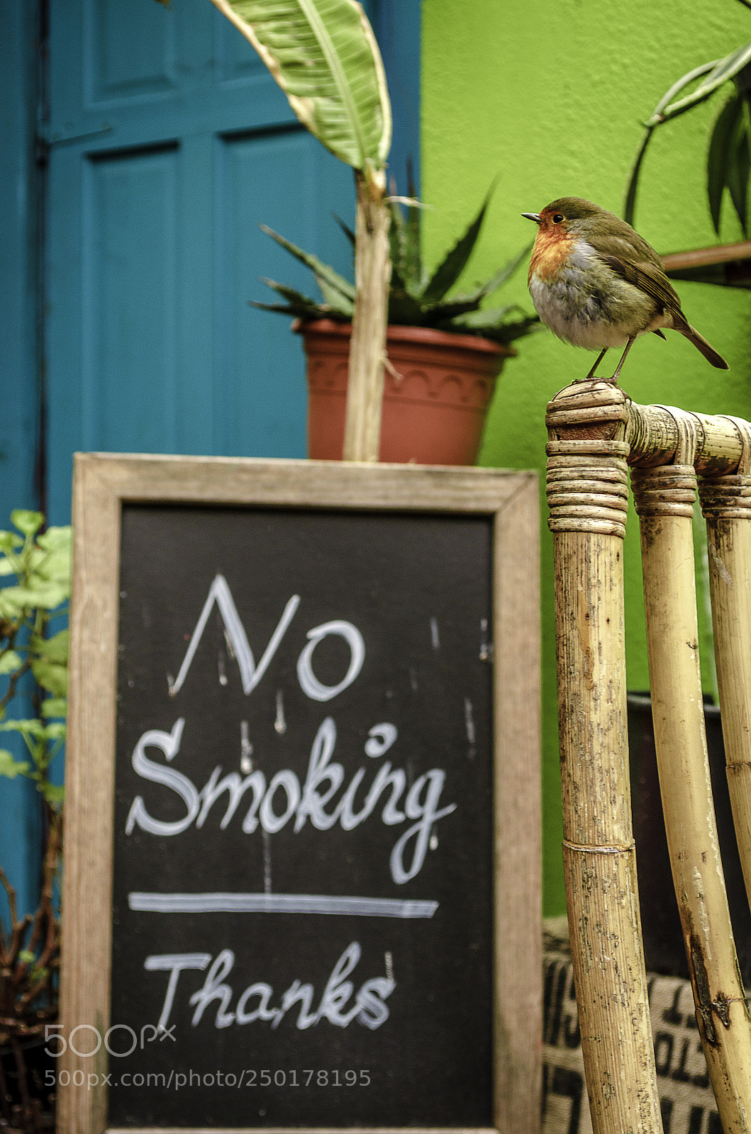 Nikon D5100 sample photo. No smoking! photography