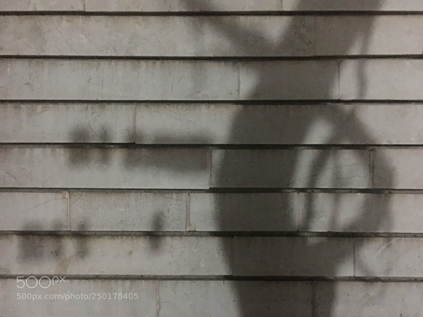 Apple iPhone 6s sample photo. Shadow photography