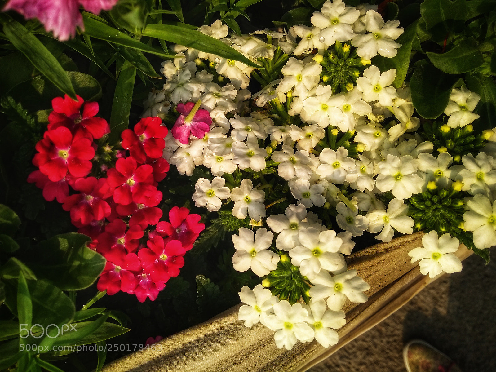 Motorola Moto G (5S) Plus sample photo. One more... photography