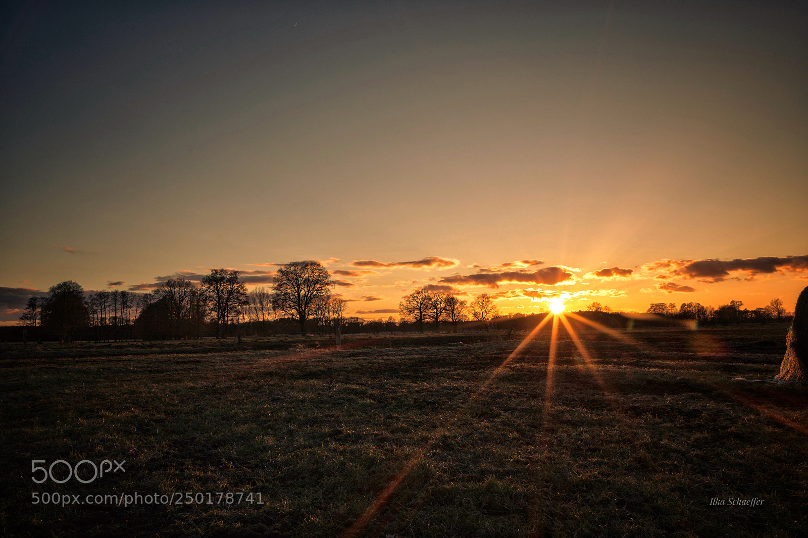 Canon EOS 5D Mark IV sample photo. Abends auf der weide  photography