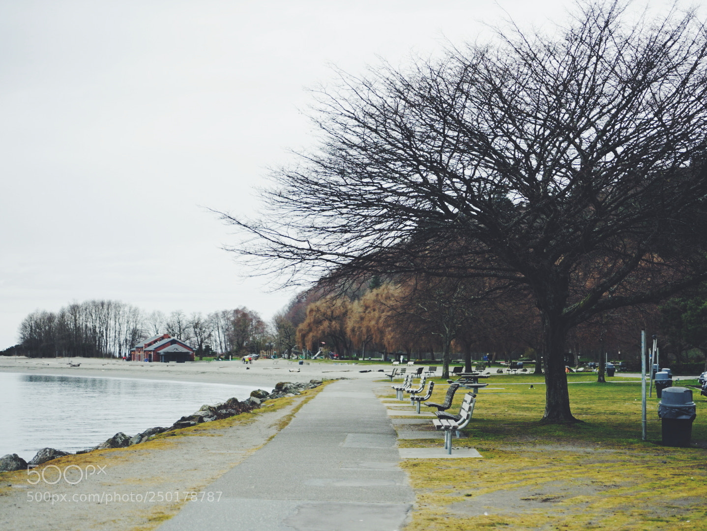 Sony a7 II sample photo. Lakeside. seattle photography