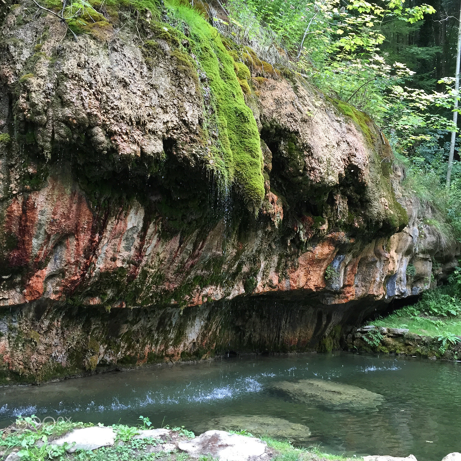 Apple iPhone 6 sample photo. Müllerthal photography