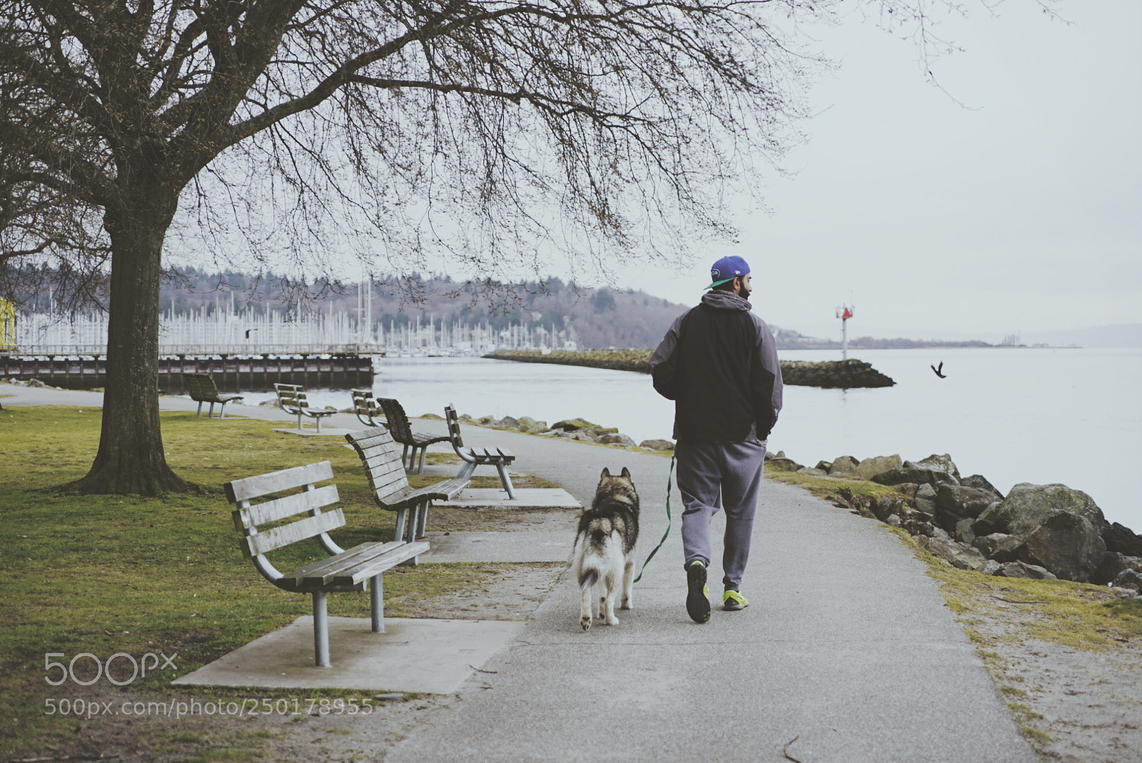 Sony a7 II sample photo. 生. seattle photography