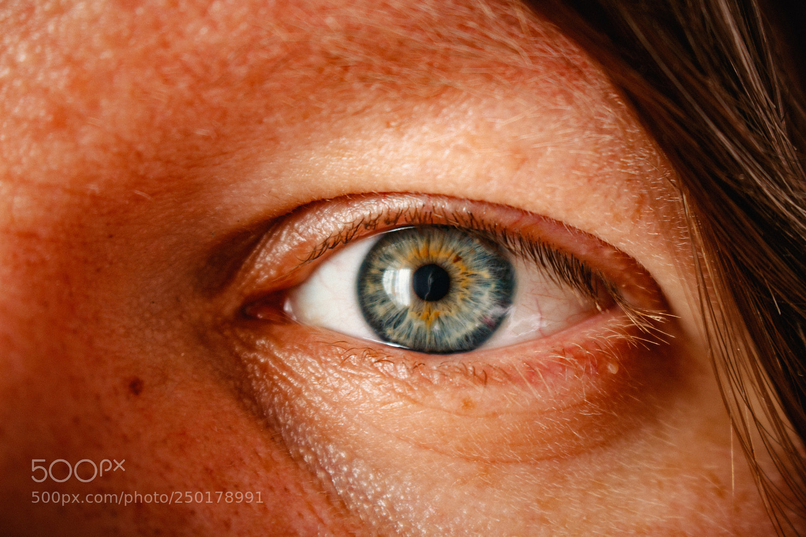 Canon EOS 760D (EOS Rebel T6s / EOS 8000D) sample photo. Grey eye photography