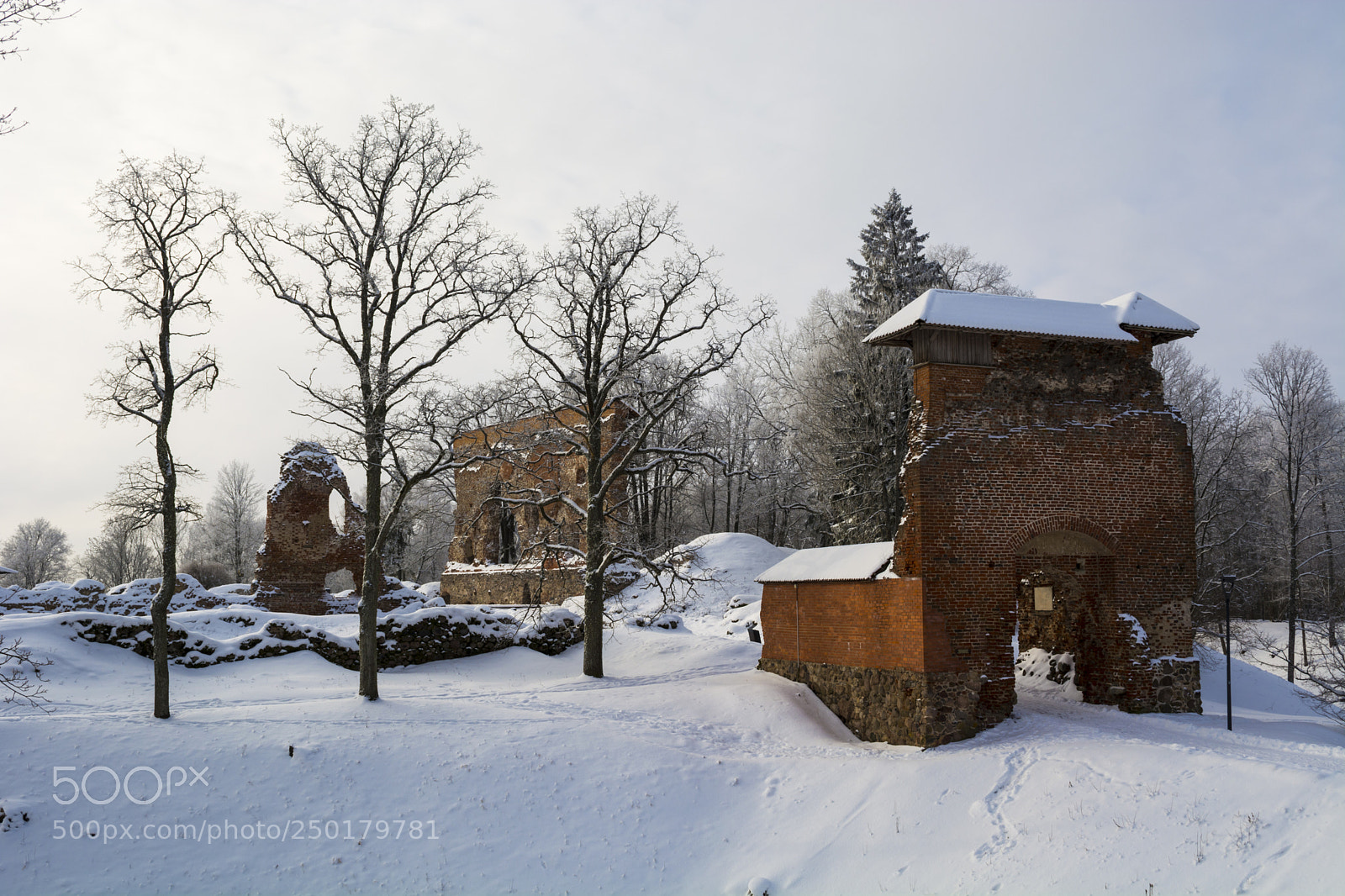 Nikon D5200 sample photo. Ruins of the viljandi photography