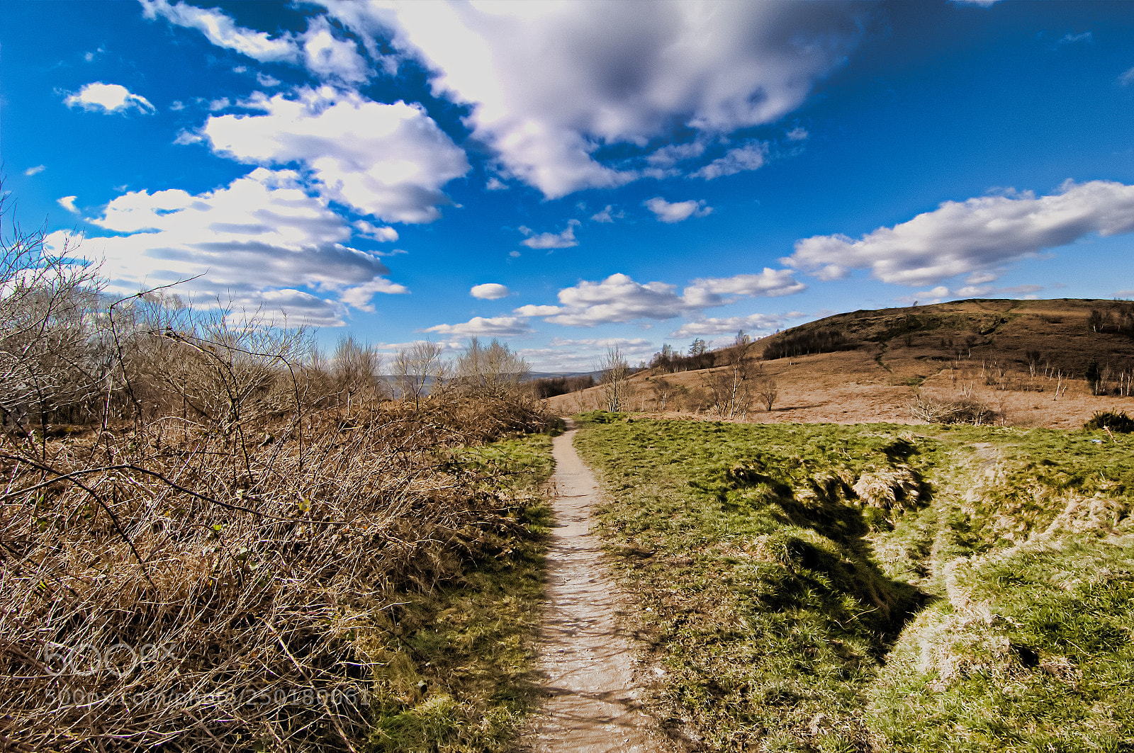 Nikon D2X sample photo. Main path photography