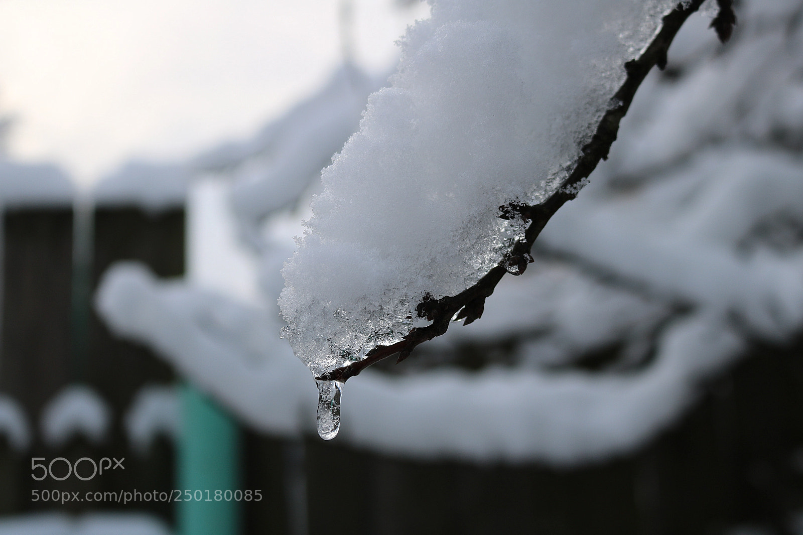 Canon EOS 760D (EOS Rebel T6s / EOS 8000D) sample photo. Water photography