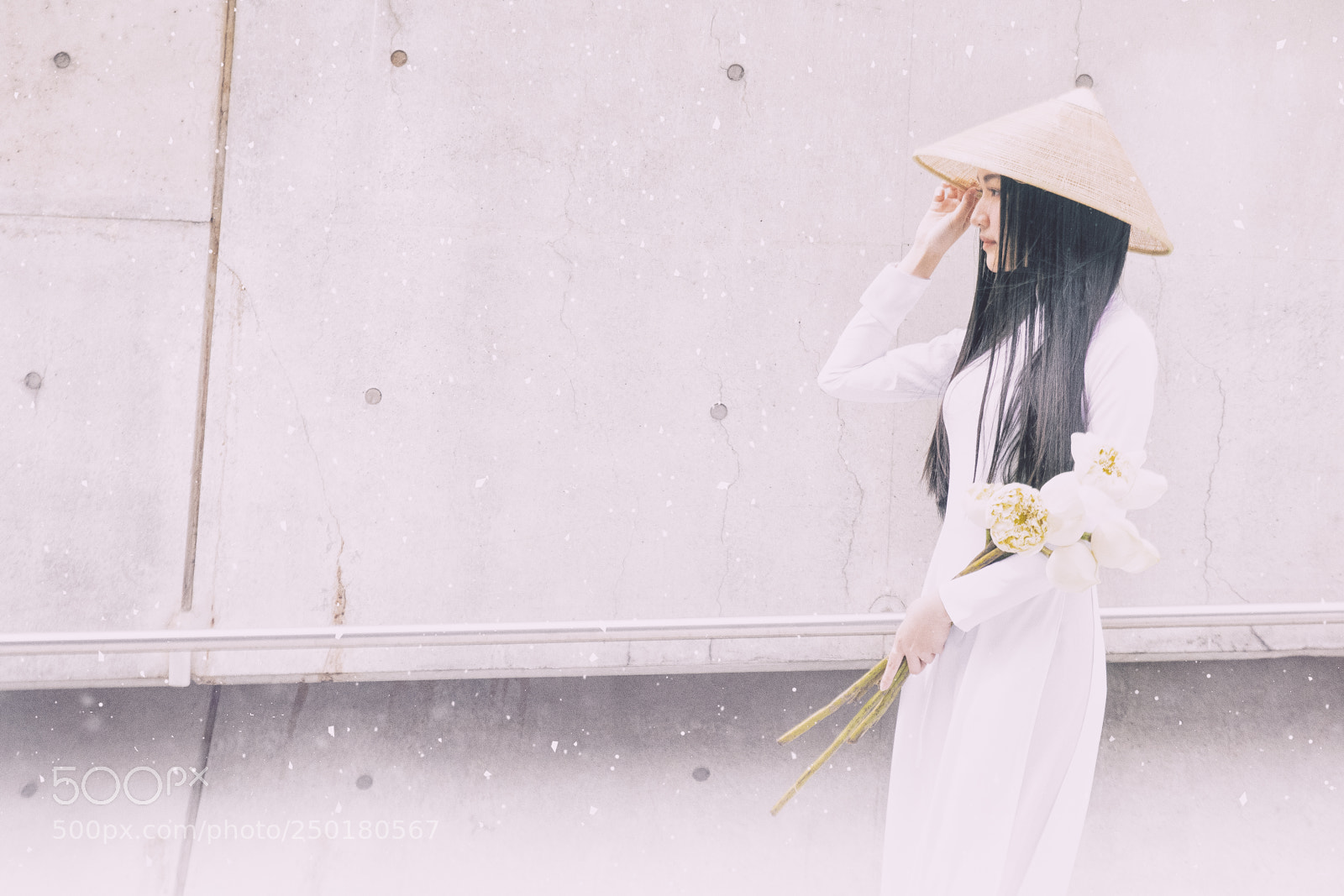 Canon EOS 750D (EOS Rebel T6i / EOS Kiss X8i) sample photo. Blossom photography