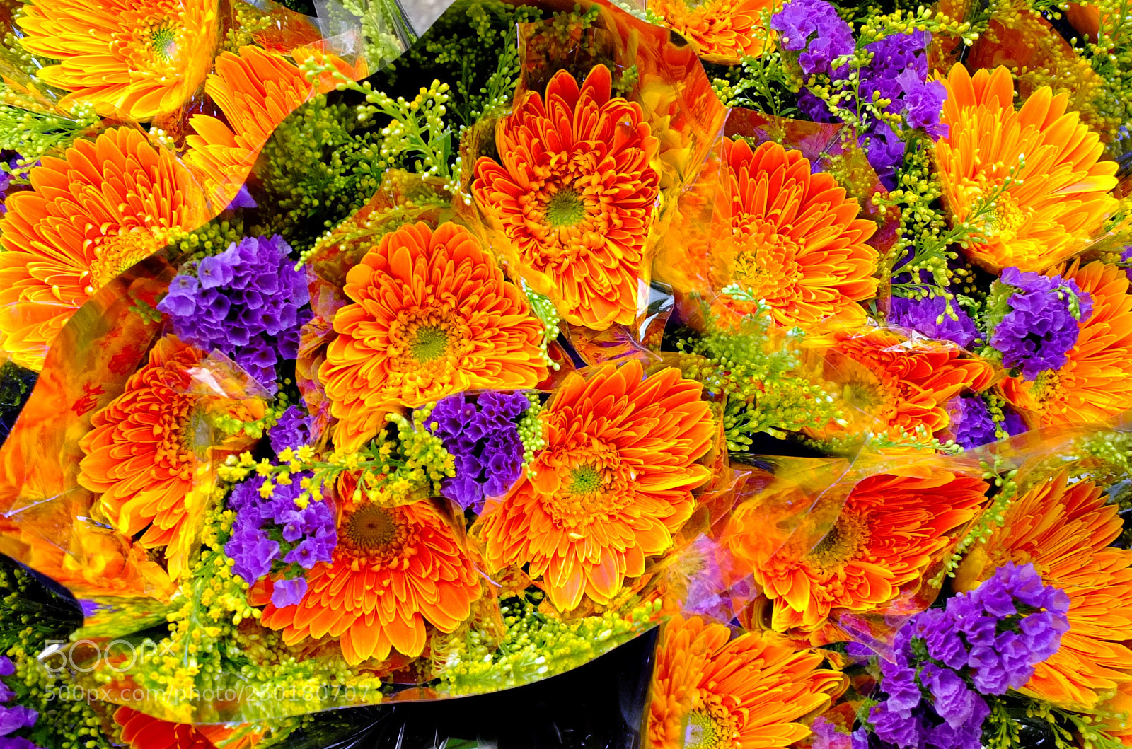 Fujifilm X10 sample photo. Flower market, hong kong photography