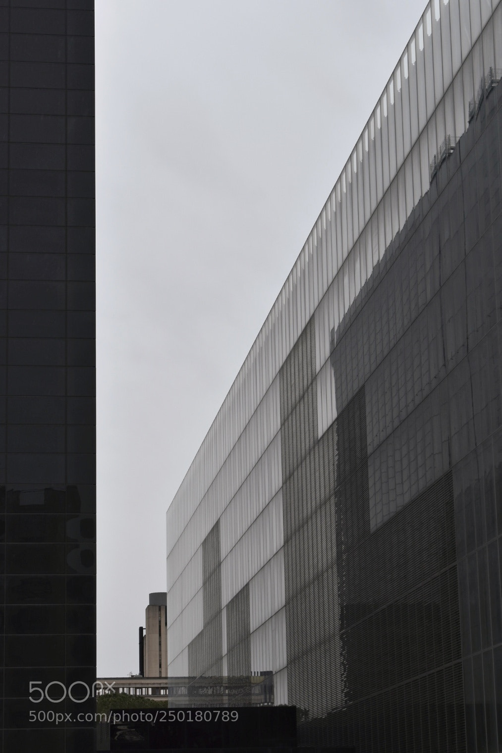 Nikon D5500 sample photo. Fuxas cloud photography
