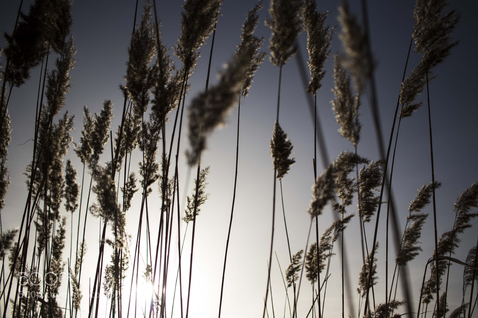 Canon EOS 80D sample photo. By sunset photography