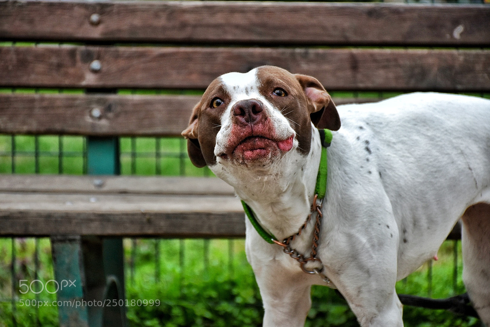 Nikon D7200 sample photo. Untitled photography