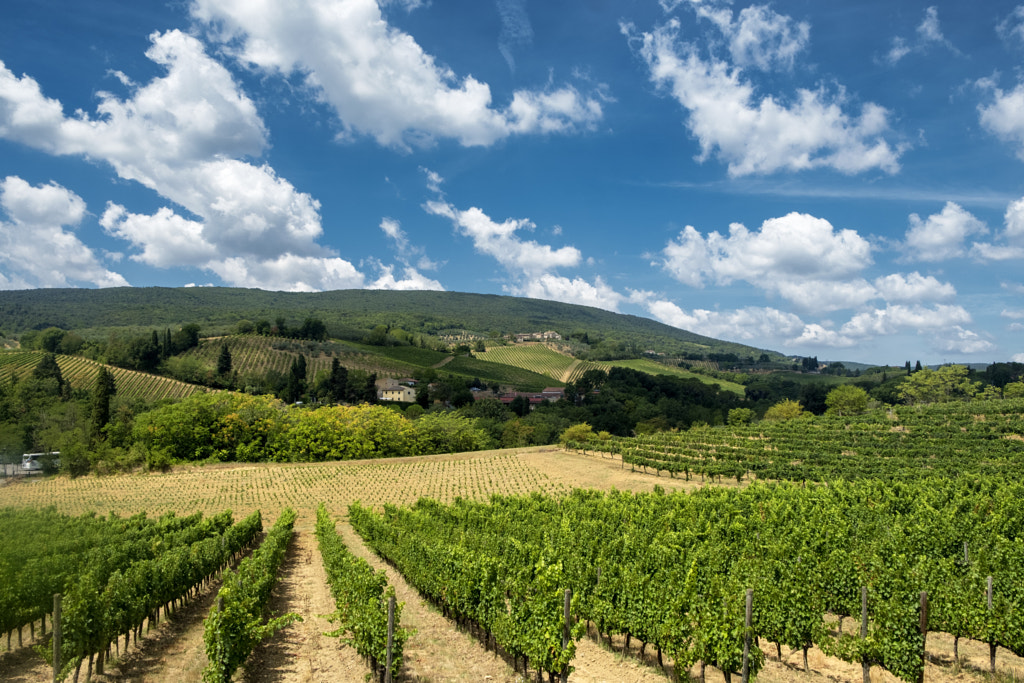 Landscape near San Gimignano (Tuscany) by Claudio G. Colombo on 500px.com